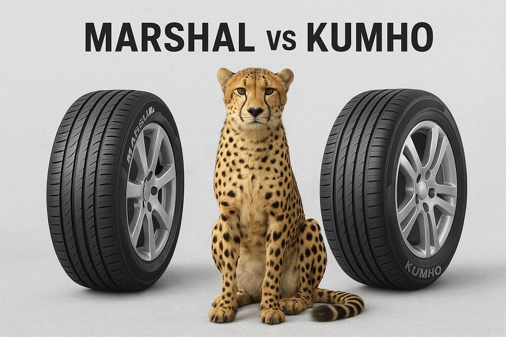 "مقایسه لاستیک مارشال و کومهو | بررسی مدل‌ها، مزایا، معایب و بهترین انتخاب"