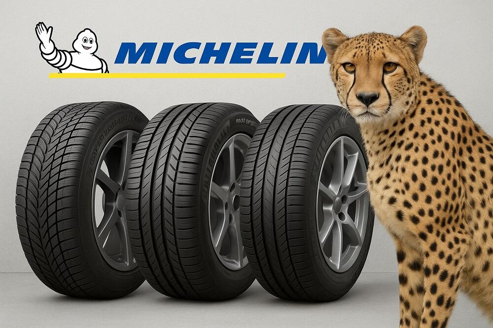 بهترین گل لاستیک میشلن در ۲۰۲۵ | بررسی و مقایسه کامل مدلهای Pilot Sport، CrossClimate، Primacy، Defender و X-Ice