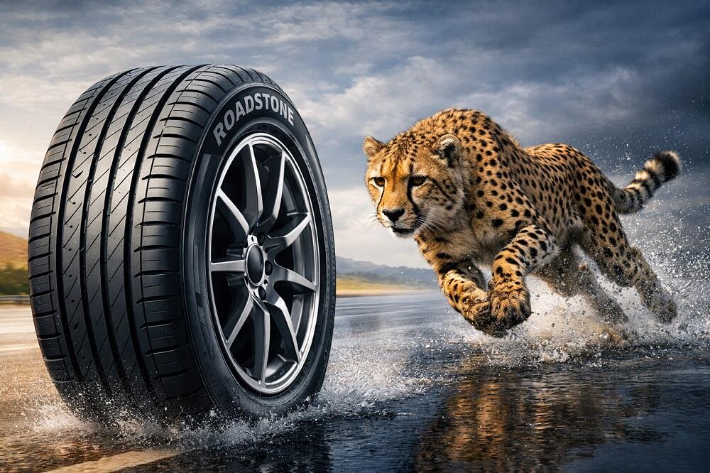 بررسی عملکرد لاستیک رودستون در جاده خشک و خیس | مزایا و معایب
